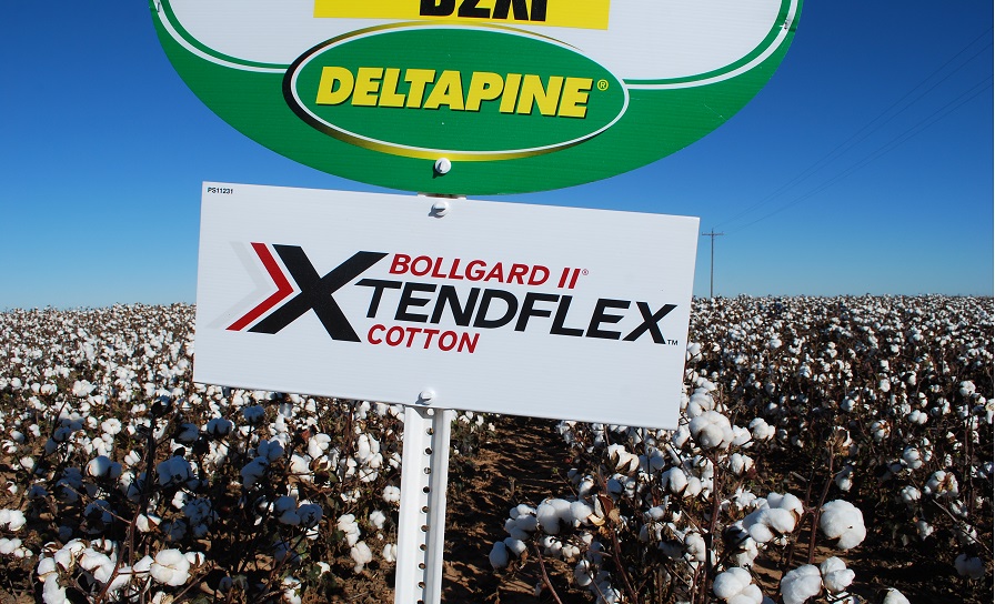 EPA Extends Comment Period on Dicamba Use with New Traits