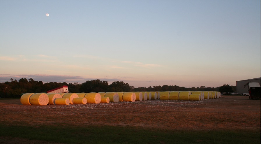 EWR and Deere Simplifying RFID Data Use in the Cotton Supply Chain