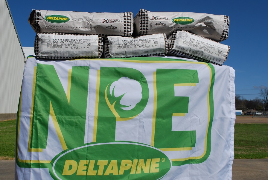 Deltapine NPE Program Kicks off Tenth Year