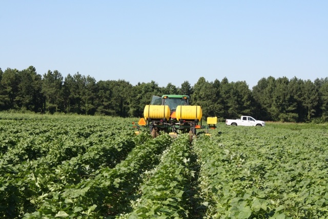 Arkansas 2018 Crop Enterprise Budgets Now Online