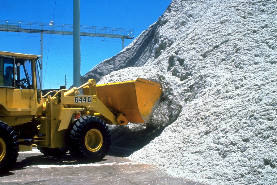 Cotton Board Ups Funding for Cottonseed Marketing
