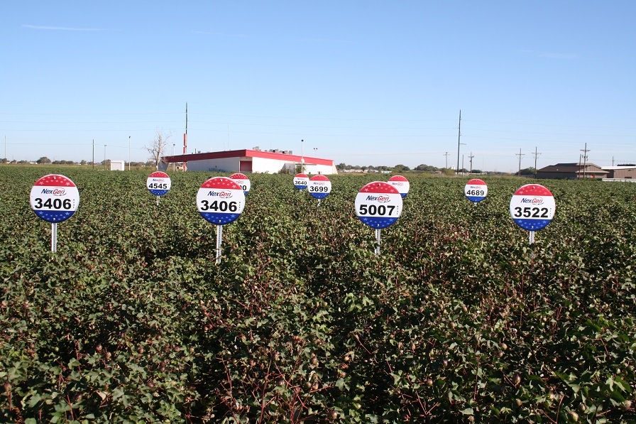 Americot Offers New XtendFlex Cotton Varieties for 2017