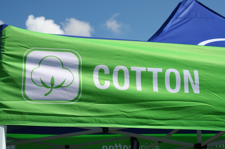 Bayer Offers Shared Risk Program for FiberMax, Stoneville Growers