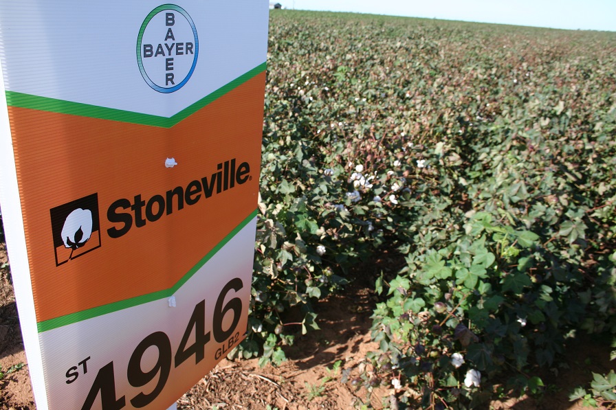 Bayer Opens New Southeast Cotton Breeding Station