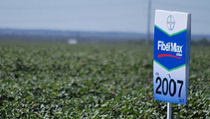 Maximizer Club Honors Top FiberMax Dryland Growers