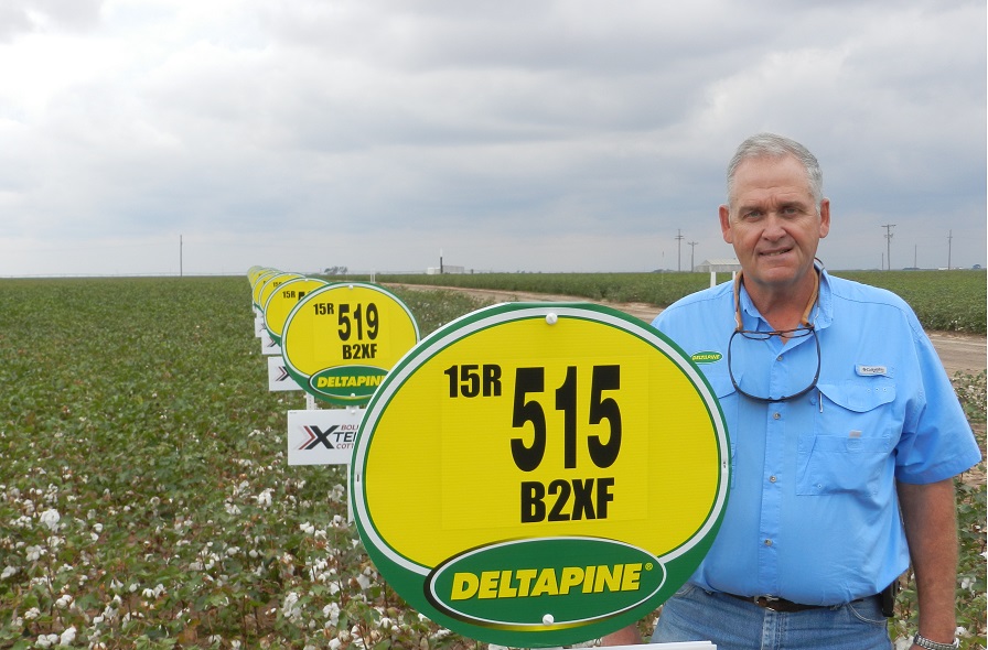 Deltapine Varieties Gain Ground in 2016