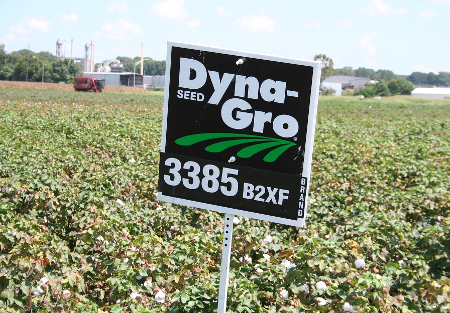 New Dyna-Gro Varieties Four Years in the Making