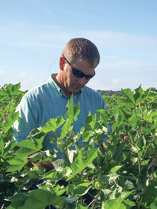 Helping Cotton Growers Be Good Neighbors