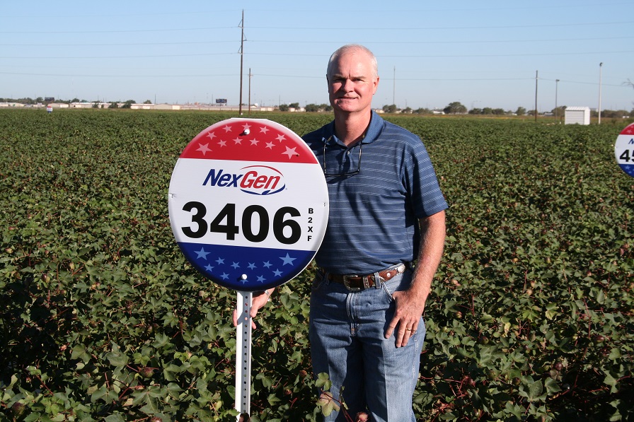 Americot’s Plan: Keep Coming On Strong