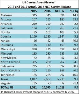 Shurley on Cotton: A Lot Going on and a Lot to Digest