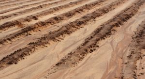 Field Prep Underway for South TX Planting