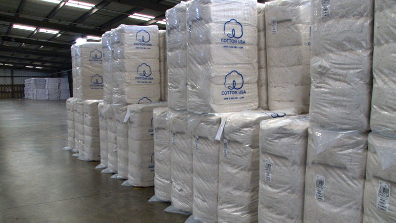 Adapting Blockchain to the Cotton Market