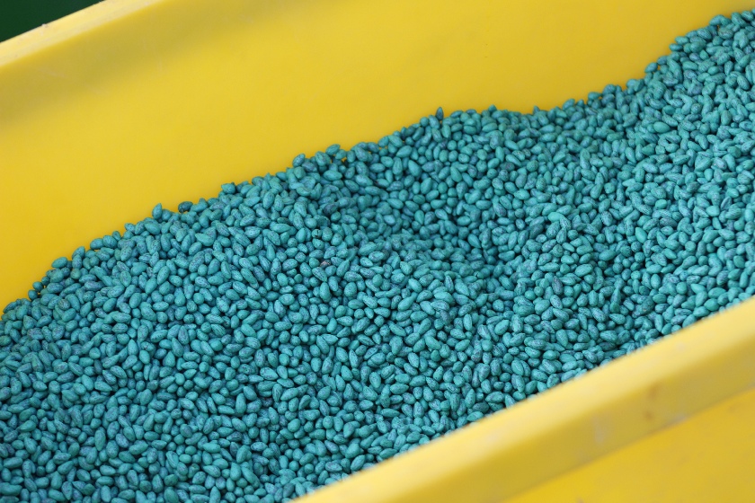 NC Launches Pilot Program for Seed Quality Testing