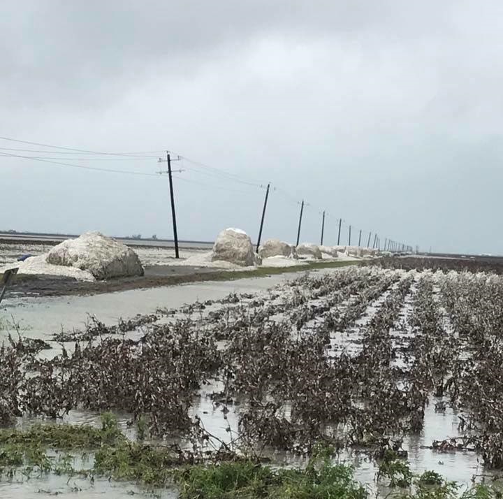 NCC Statement re: Hurricane Harvey