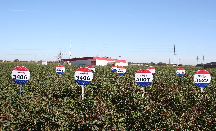 Americot Team Continues to Grow