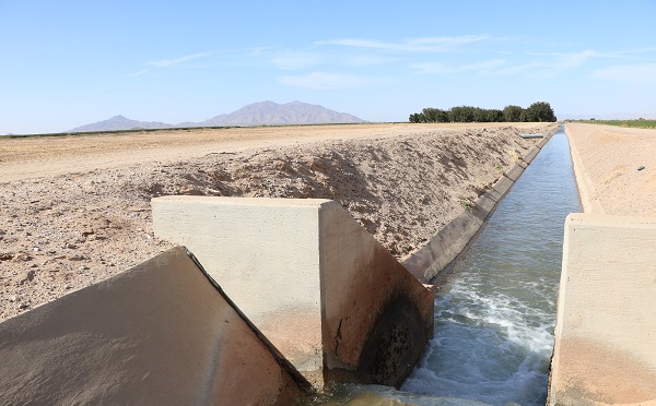 Is California’s Pima Cotton Industry in Danger of Drying Up?