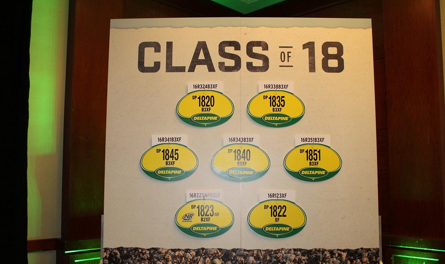 Seven New Varieties in Deltapine Class of 18