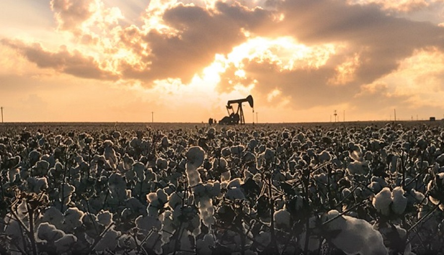 Milestone: U.S. Cotton Trust Protocol Enrolls One in Four Cotton Acres