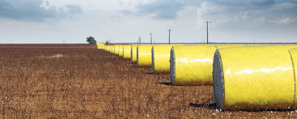 Is a Trade and Market Crisis Looming?