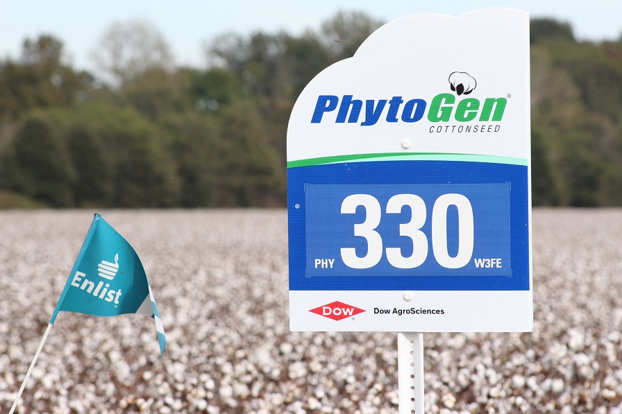 PhytoGen Tops Extension Trials Across the Cotton Belt