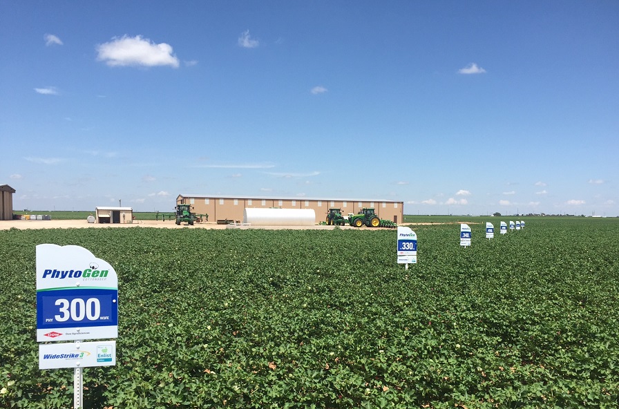 PhytoGen Expands Portfolio of W3FE Varieties for 2018