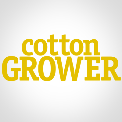 Returning to My Cotton Roots