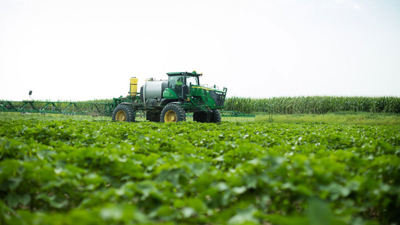 Ninth Circuit Court Denies Petitions to Overturn Dicamba Ruling