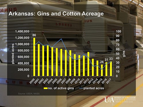 Arkansas Gin Numbers Rebounding as Cotton Acres Rise