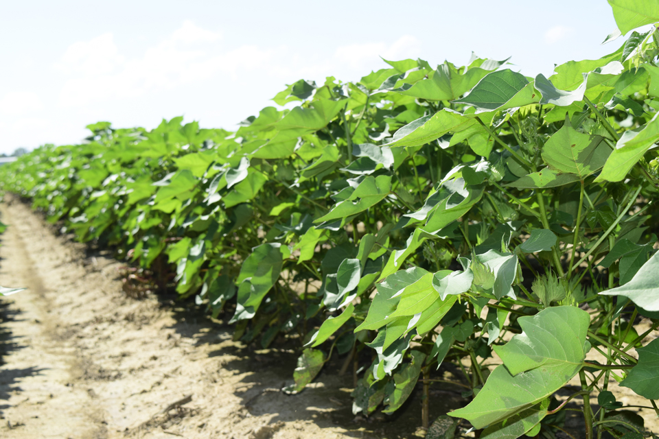 ThryvOn Technology Trait Showcased in New Virtual Tour