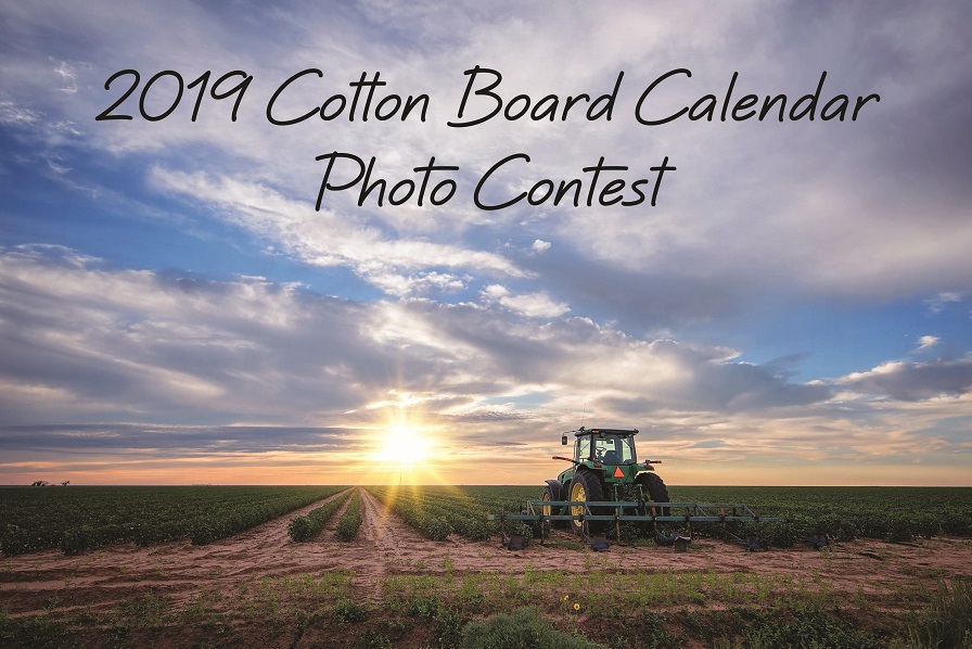 Cotton Board Seeks One Great Cotton Photo for 2019 Industry Calendar