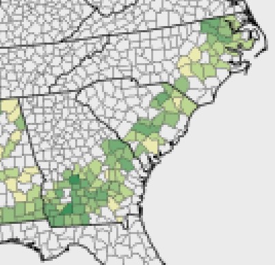 Shurley: Florence Impact and Pre-Harvest Market Outlook