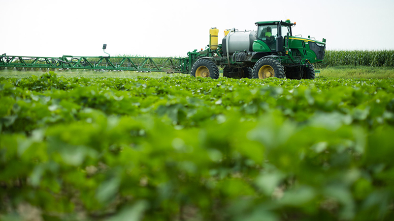 Research Shows Temperature, Glyphosate Increase Probability for Dicamba Volatility