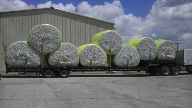 Deadline Approaching for Seed Cotton Program Decisions