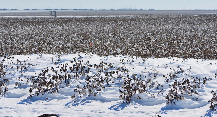 Extended Winter Weather Forecast for 2022-2023 Goes to the ‘Extreme’