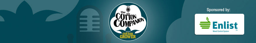 Cotton Companion #56 – Texas Two Step