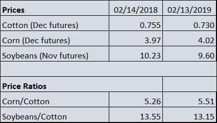 Shurley: “The 2019 State of Cotton” at the Farm Level