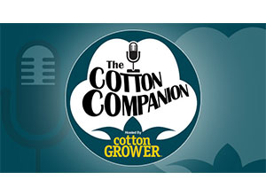 Cotton Companion #67 – Coronavirus and 2020 Cotton Pricing