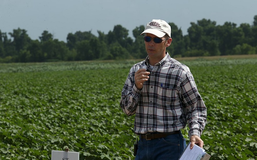 Dr. Gaylon Morgan Joins Cotton Incorporated Research Staff