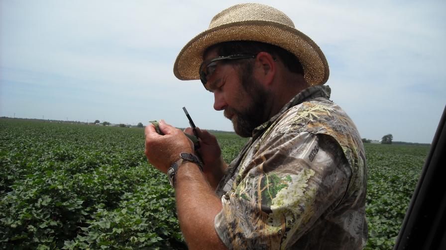 The Nemecs: A Family Legacy in Cotton