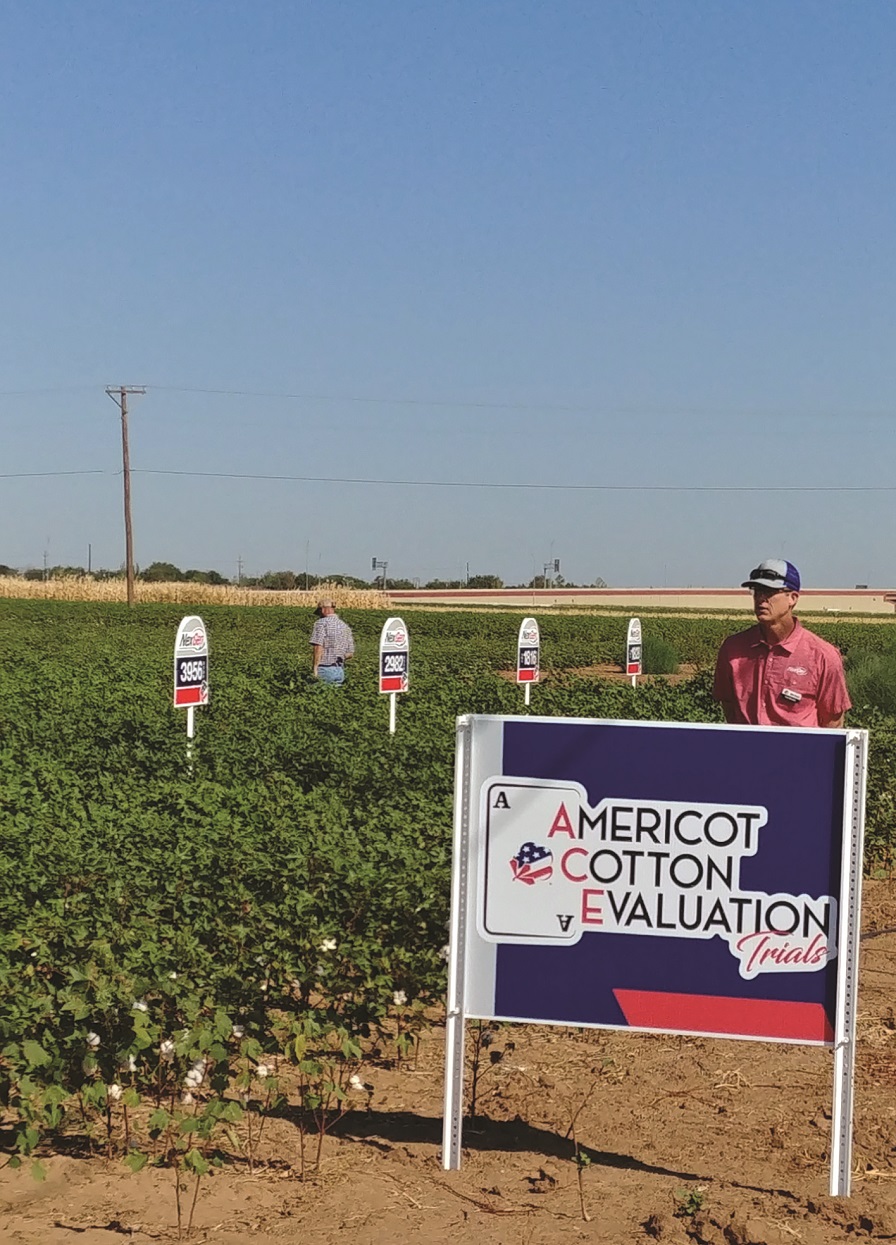 Americot Adds Three New NexGen Varieties for 2021