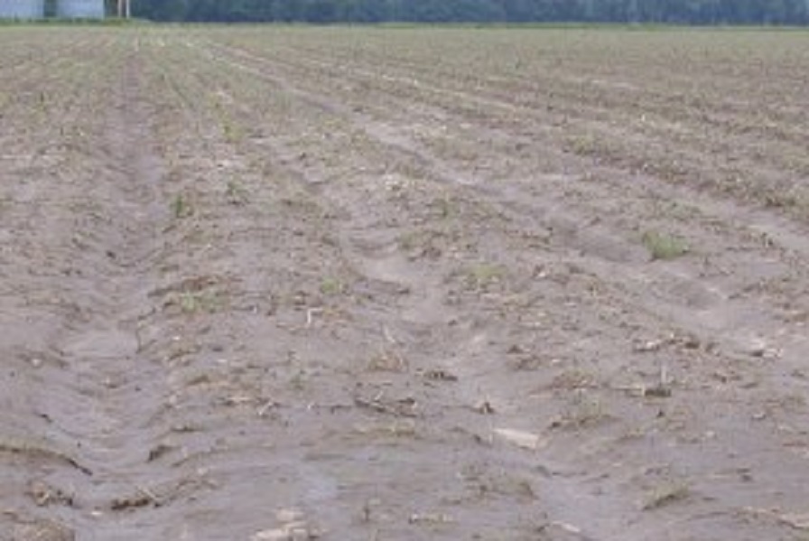 USDA: Changes Coming to Improve Prevented Planting Coverage
