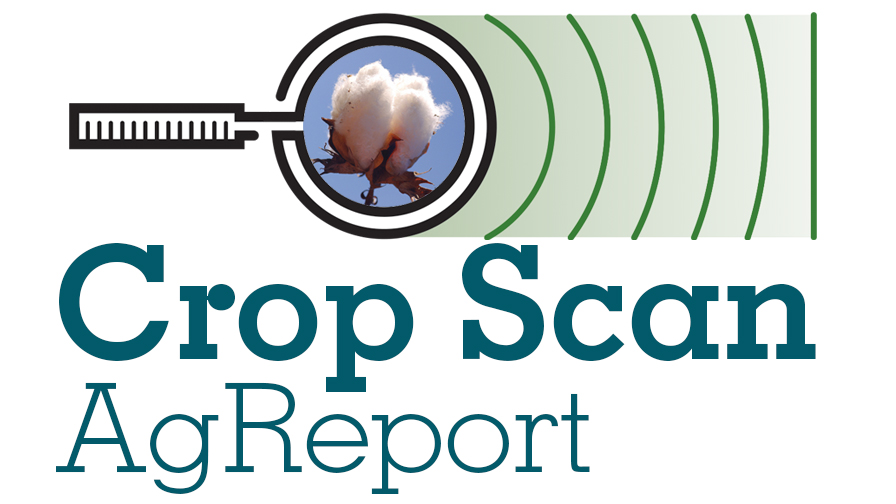 Crop Scan Ag Report: 2024 Planting Off to a Favorable Start