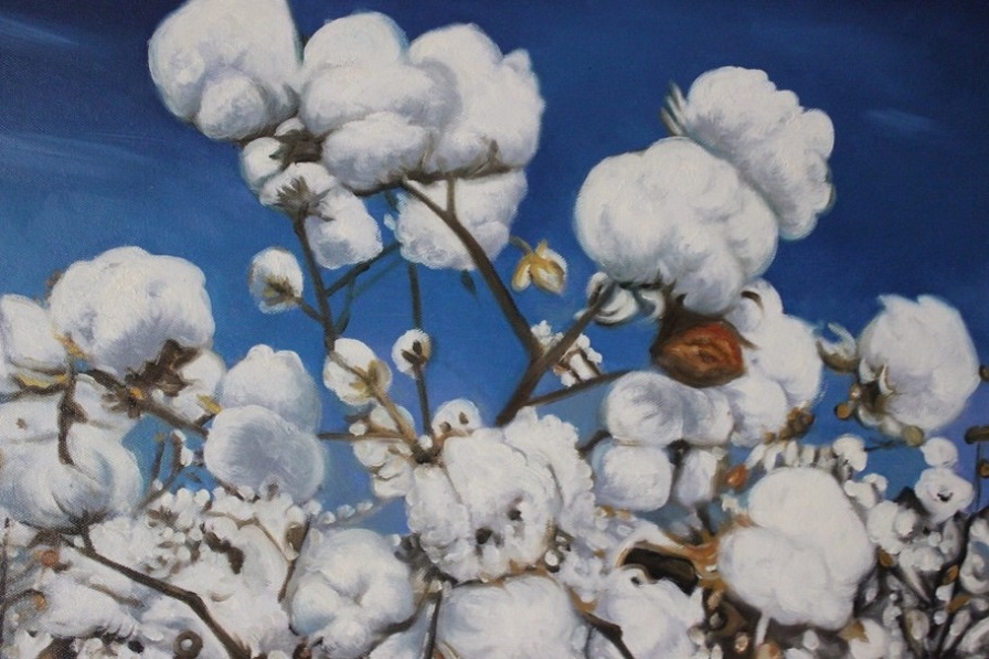 Texas Couple’s Passion for Cotton Earns BASF Catalog Cover