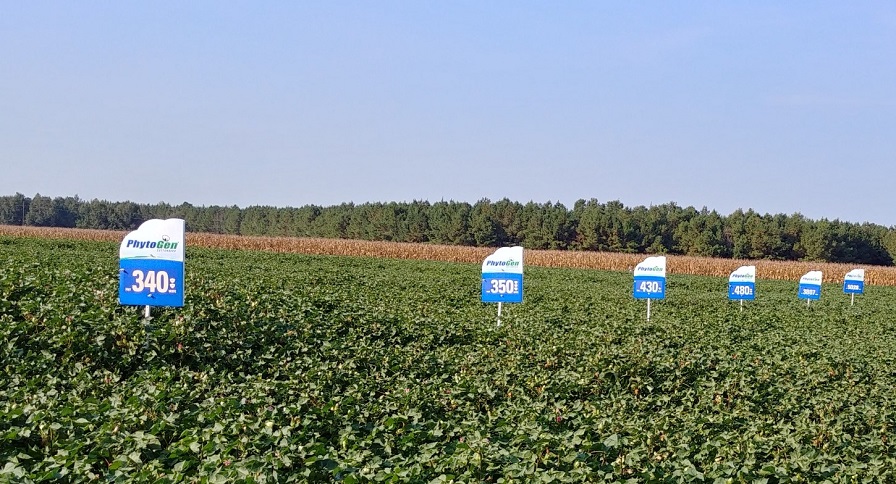 Corteva Agriscience Acquires Full Ownership of PhytoGen