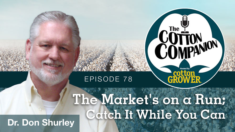 The Market’s on a Run; Catch It While You Can