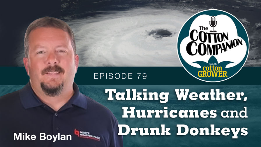 Talking Weather, Hurricanes and Drunk Donkeys
