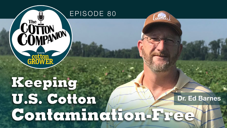 Keeping U.S. Cotton Contamination-Free