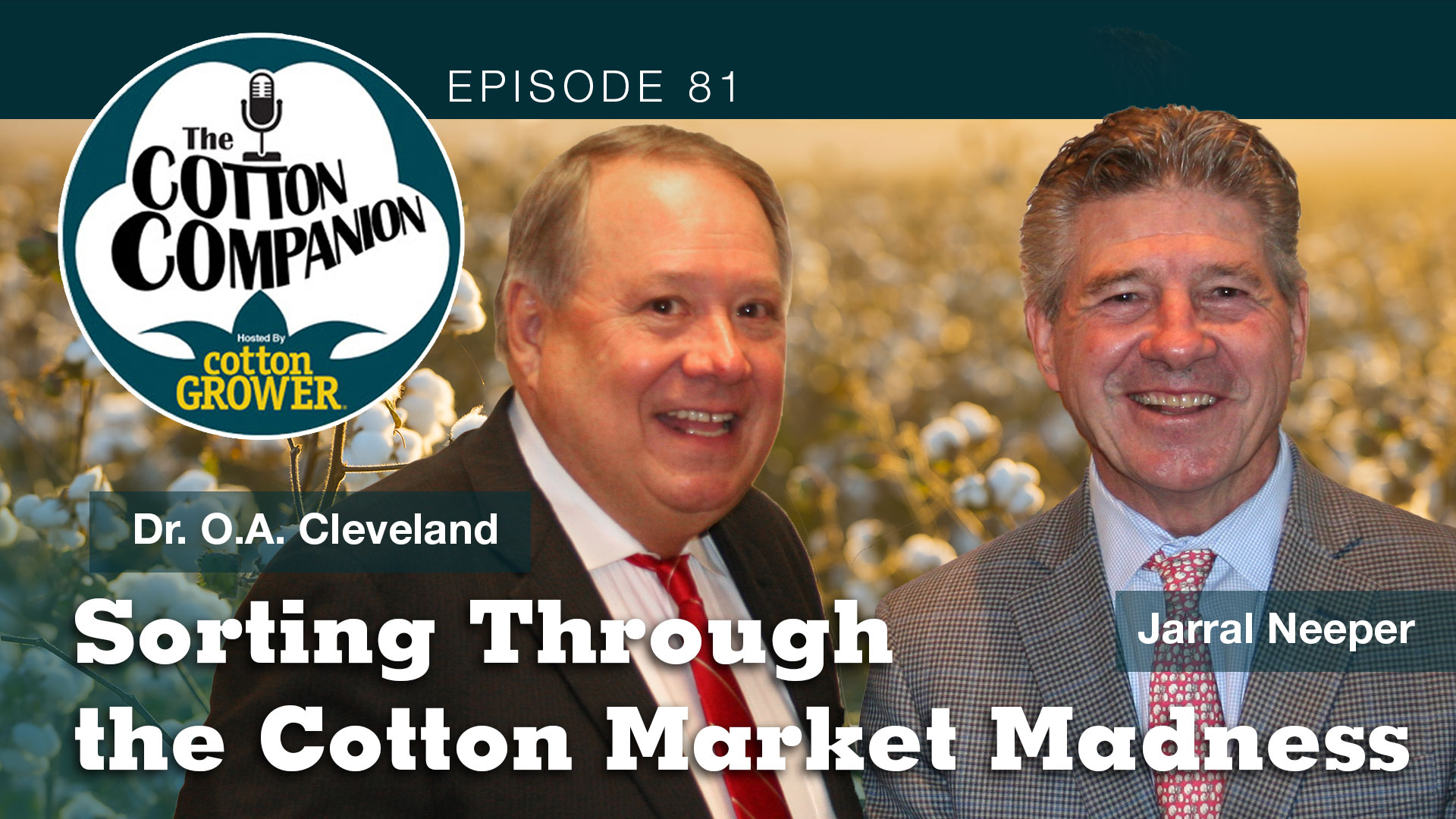 Sorting Through the Cotton Market Madness