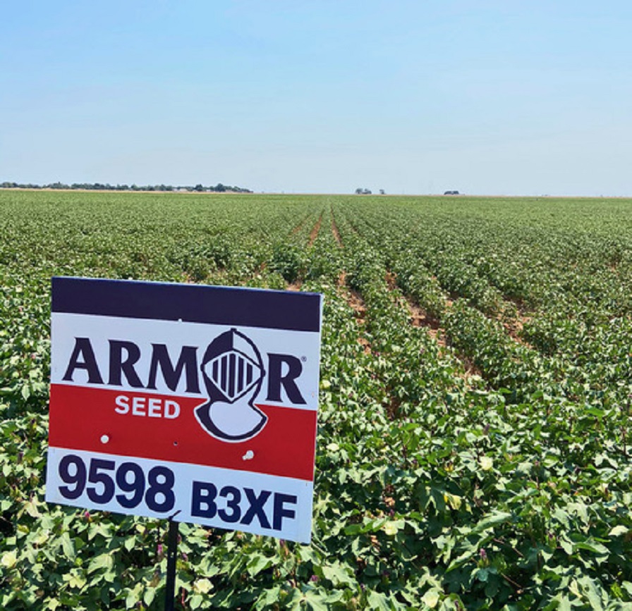 Seed Company Review: New Name, Strong Varieties Lead Armor into 2021