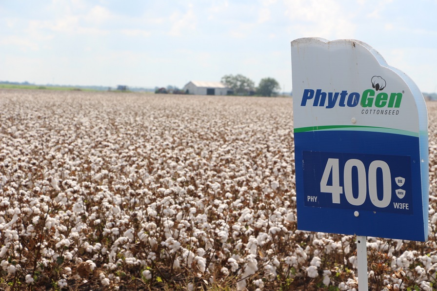 PhytoGen Building on Innovation and Consistency in 2022